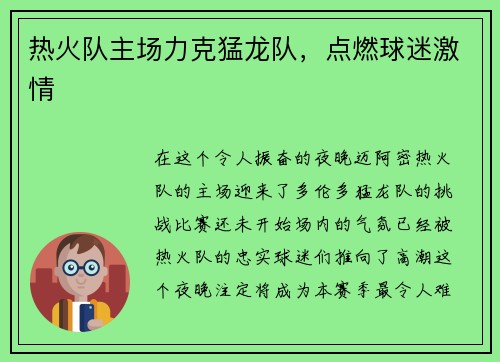 热火队主场力克猛龙队，点燃球迷激情